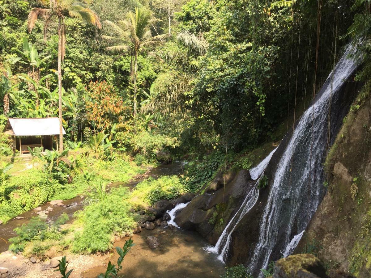Pondok Plantation Luxury Mountain Escape Bedugul Bedugul  Exterior foto