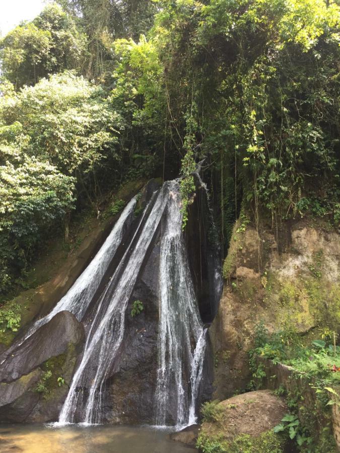 Pondok Plantation Luxury Mountain Escape Bedugul Bedugul  Exterior foto