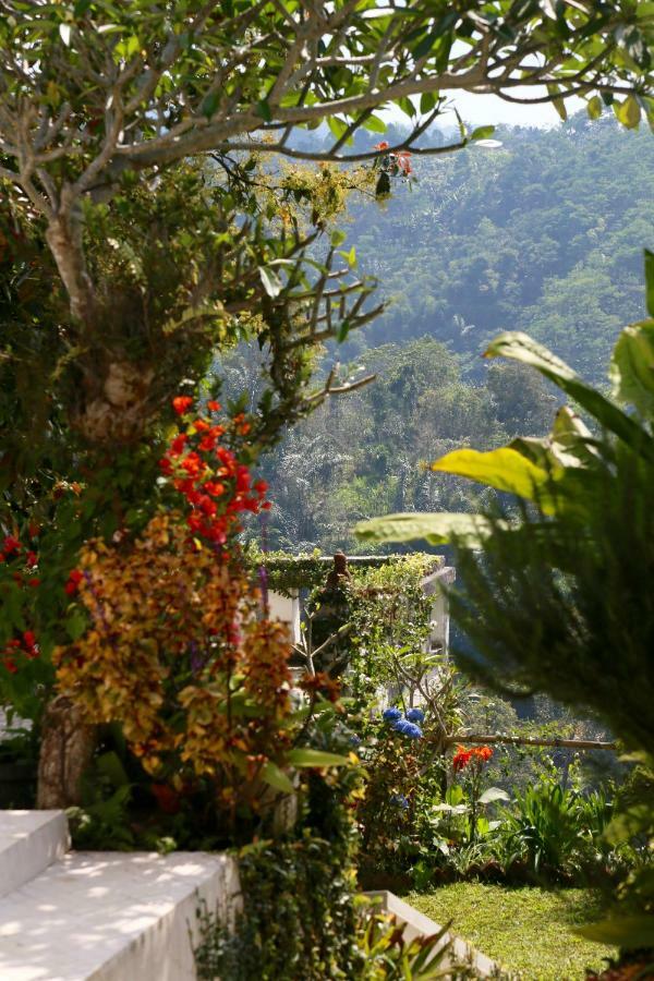 Pondok Plantation Luxury Mountain Escape Bedugul Bedugul  Exterior foto